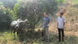 Trung tâm CTXH Thái Nguyên với mô hình hỗ trợ sinh kế cho người khuyết tật